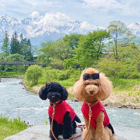 白馬パウダーマウンテン Hotel Hakuba Exterior foto
