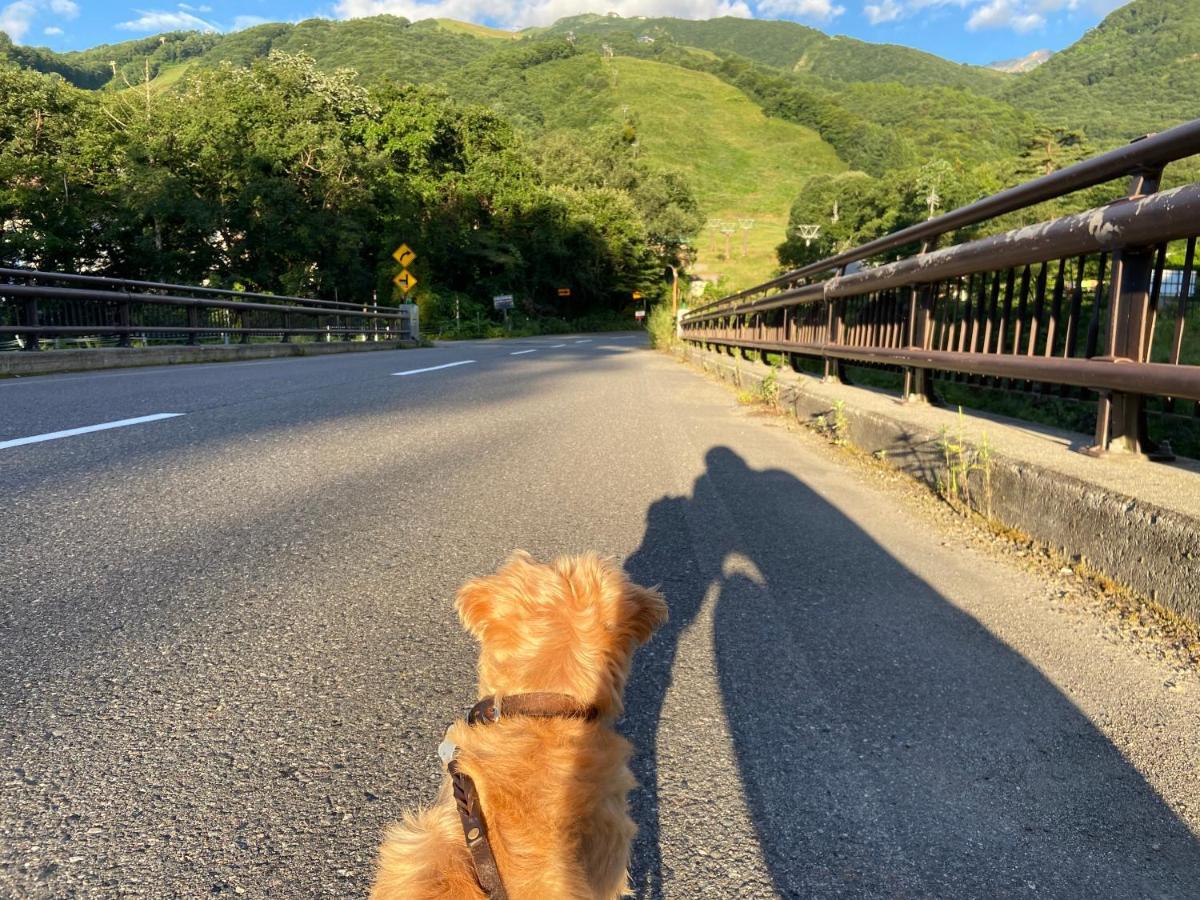 白馬パウダーマウンテン Hotel Hakuba Exterior foto