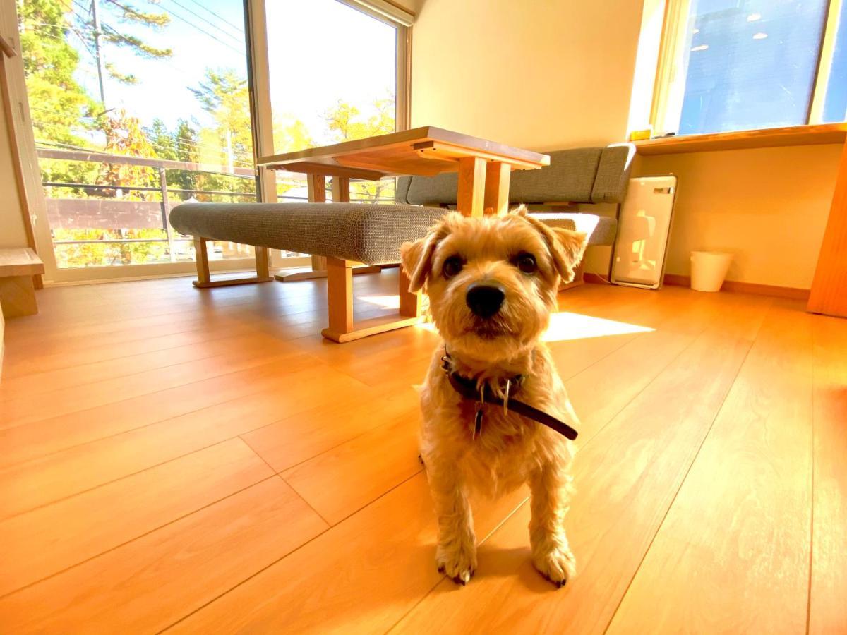 白馬パウダーマウンテン Hotel Hakuba Exterior foto