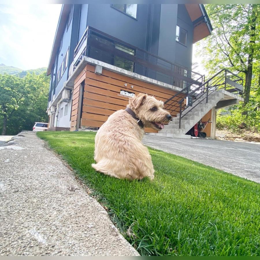 白馬パウダーマウンテン Hotel Hakuba Exterior foto