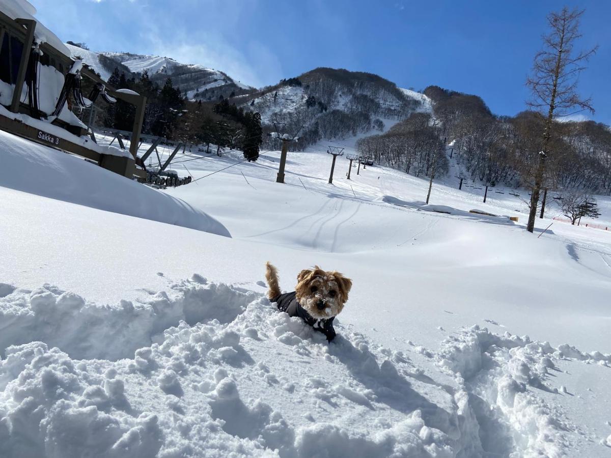 白馬パウダーマウンテン Hotel Hakuba Exterior foto