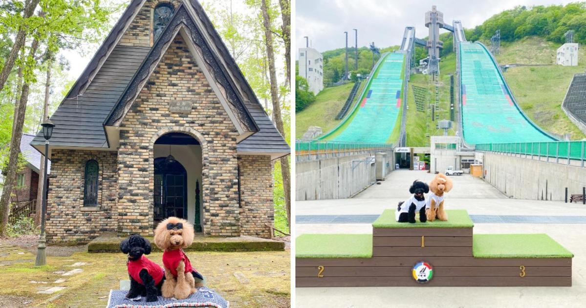 白馬パウダーマウンテン Hotel Hakuba Exterior foto